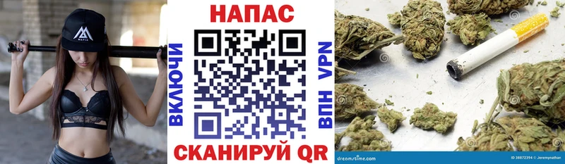 Каннабис планчик Белоусово